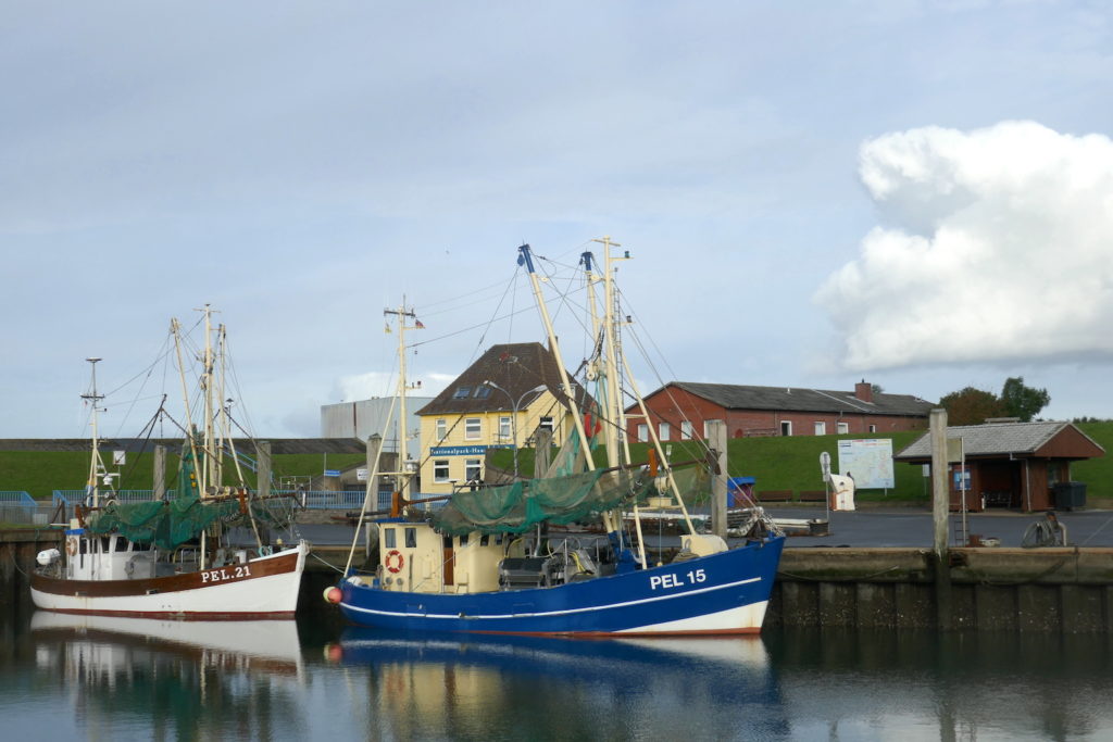 Im Hafen von Tammensiel