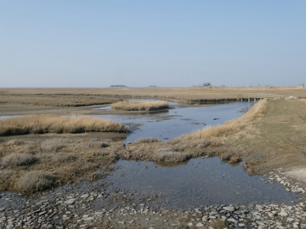 Blick vom Süden über die Hallig