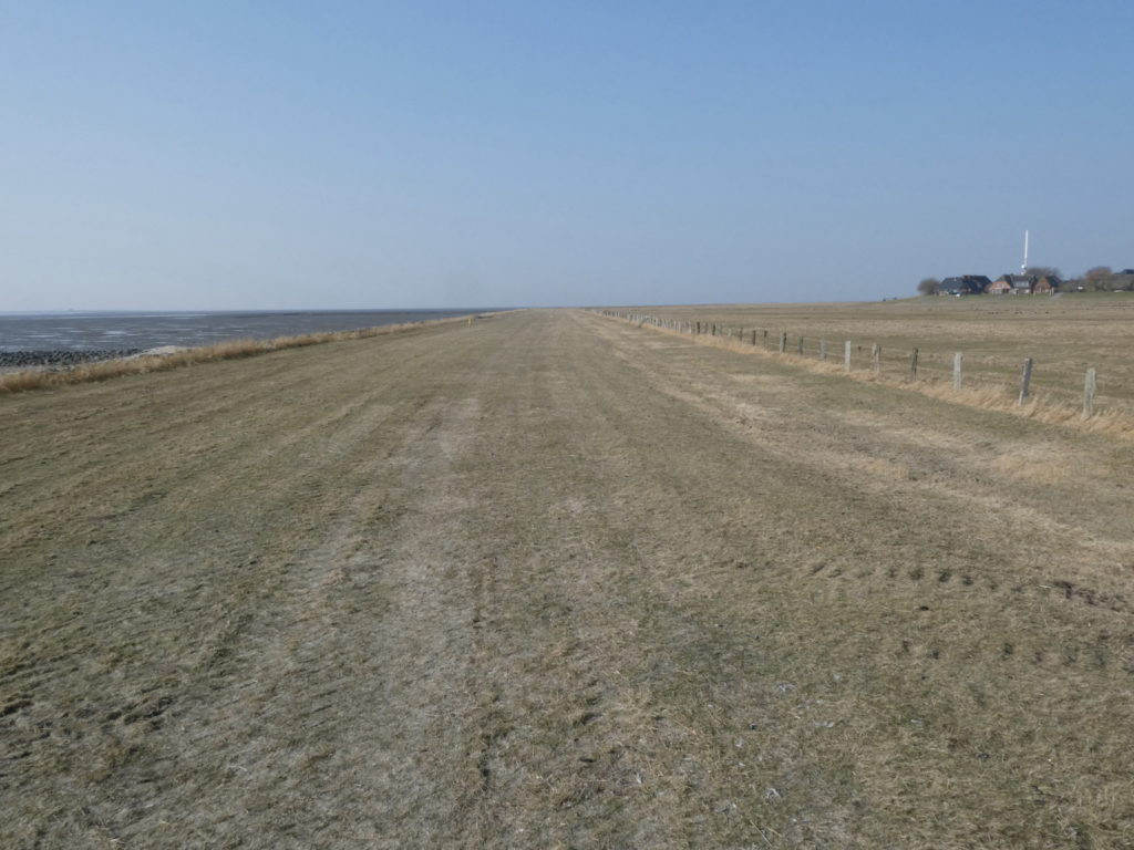 Unterwegs auf dem Sommerdeich