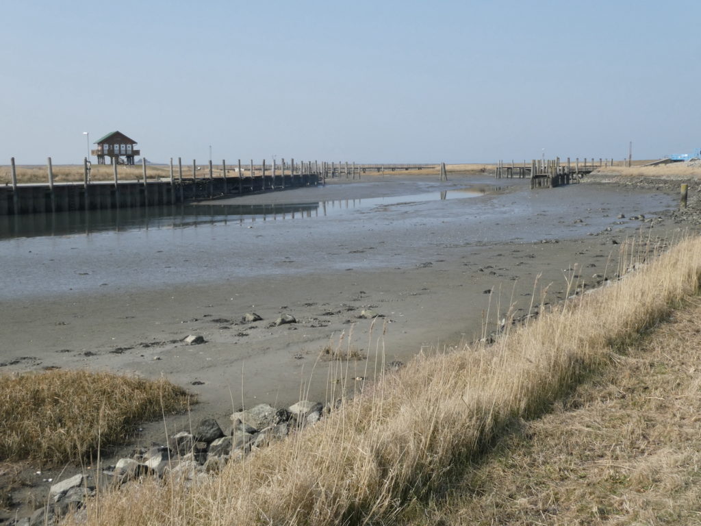 Der Seglerhafen bei Niedrigwasser
