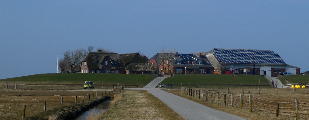 Honkenswarf