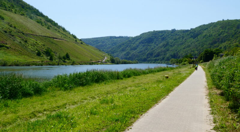 Am Mosel-Radweg: Panorama mit Weinbergen, Fluss und Radweg