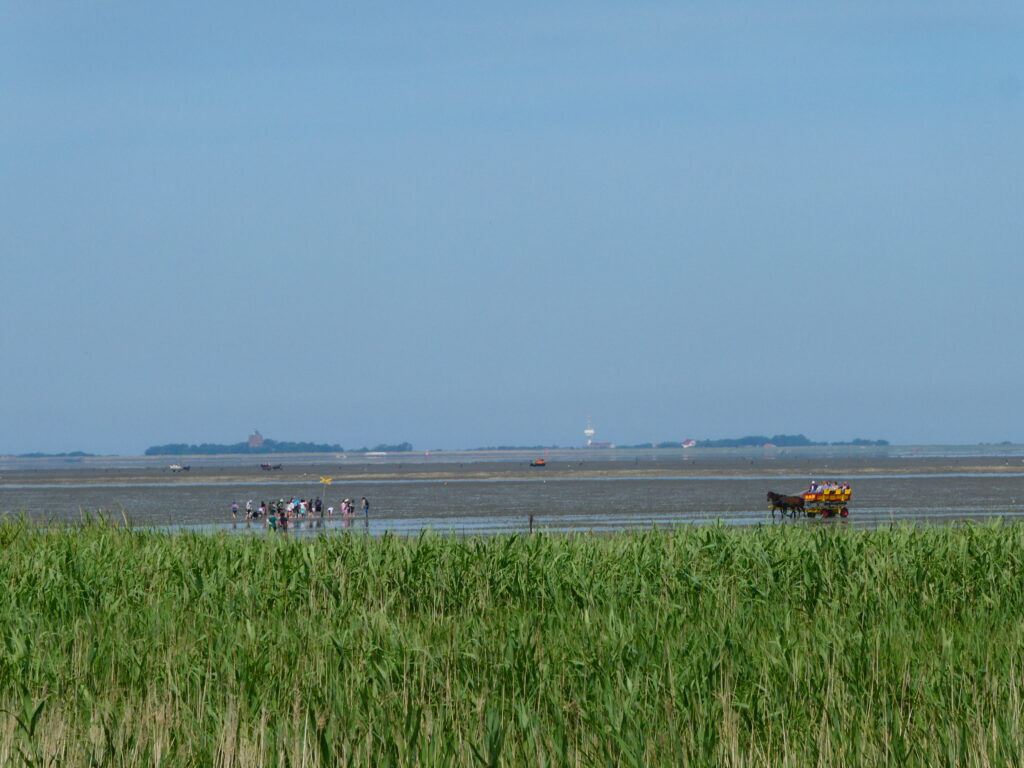 Blick auf die Insel Neuwerk