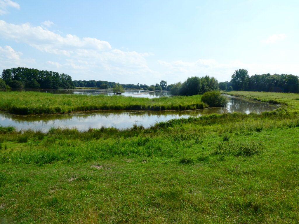 Impressionen vom Steinhorster Becken
