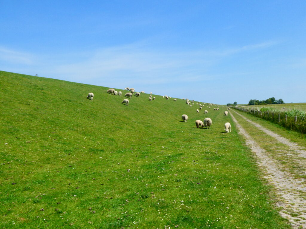 Am Deich entlang; hier könnte der Weg besser sein