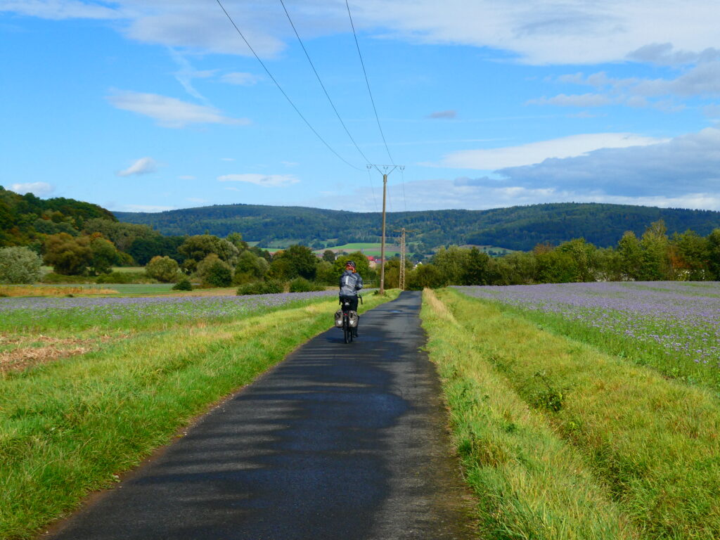 Zwischen Feldern auf dem Weserradweg